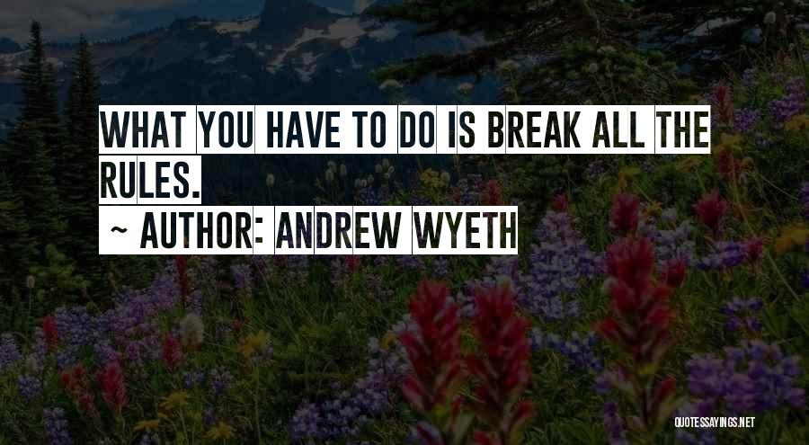 Break All Rules Quotes By Andrew Wyeth