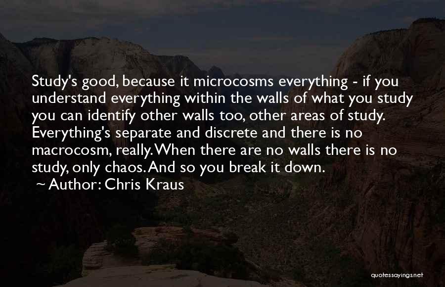 Break Down These Walls Quotes By Chris Kraus