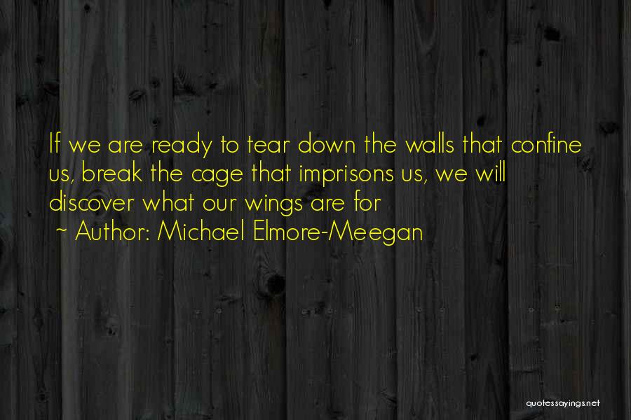 Break Down These Walls Quotes By Michael Elmore-Meegan