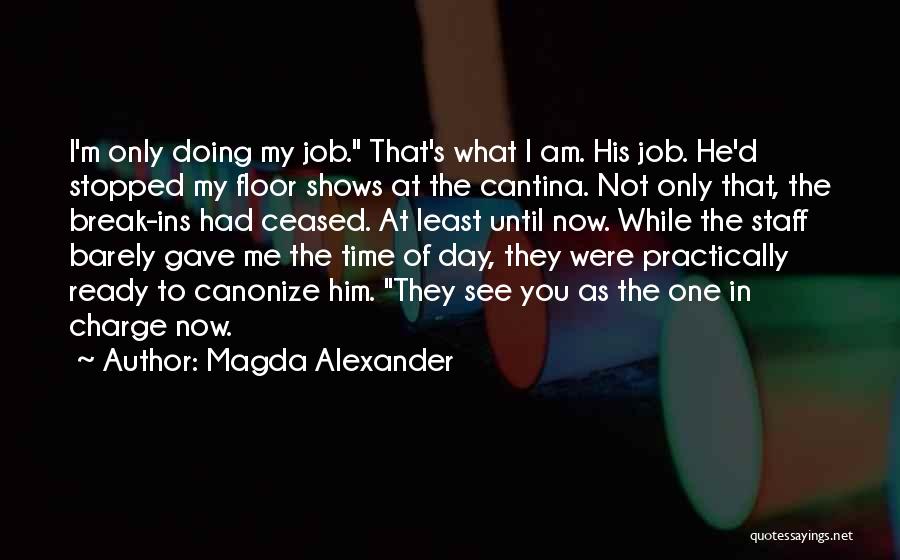 Break Ins Quotes By Magda Alexander