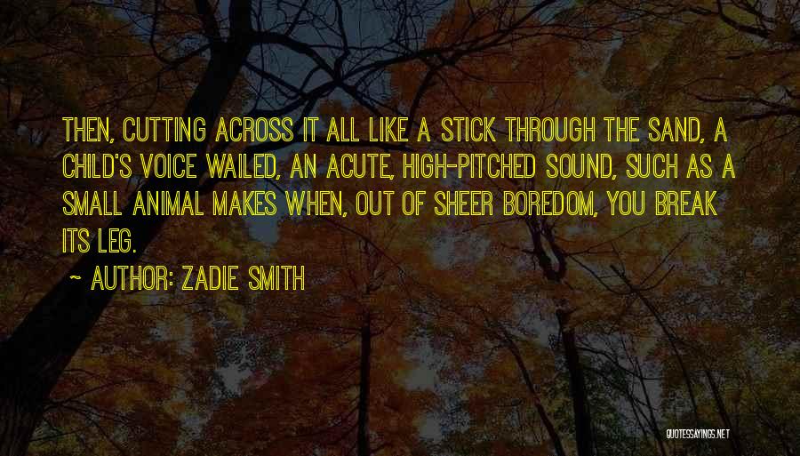 Break Leg Quotes By Zadie Smith