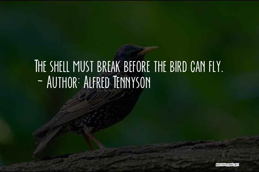 Break Out Of Your Shell Quotes By Alfred Tennyson