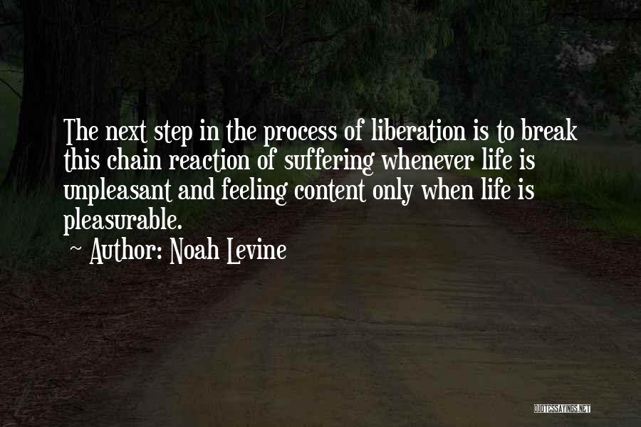 Break The Chain Quotes By Noah Levine