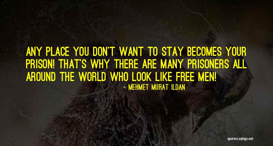 Break The Pattern Quotes By Mehmet Murat Ildan Break The Pattern Quotes By Mehmet Murat Ildan