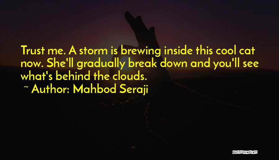 Break Trust Quotes By Mahbod Seraji