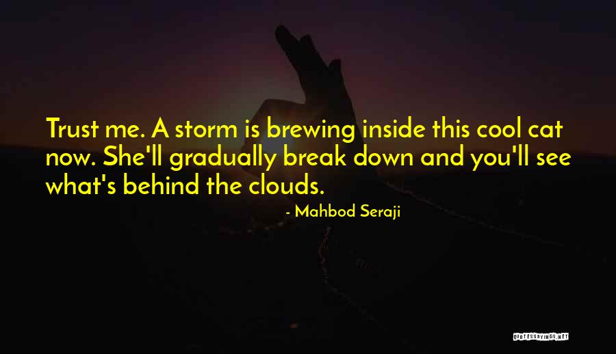 Break Trust Quotes By Mahbod Seraji