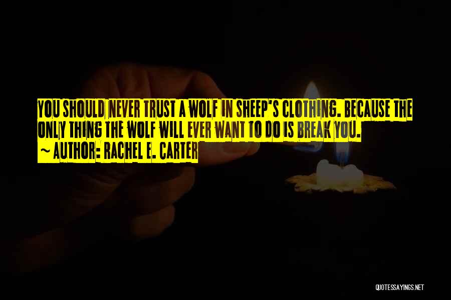 Break Trust Quotes By Rachel E. Carter