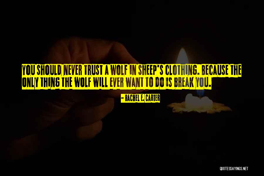 Break Trust Quotes By Rachel E. Carter Break Trust Quotes By Rachel E. Carter