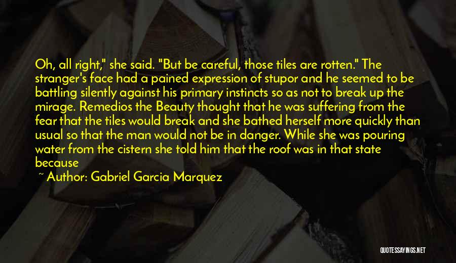 Break Up Man Quotes By Gabriel Garcia Marquez