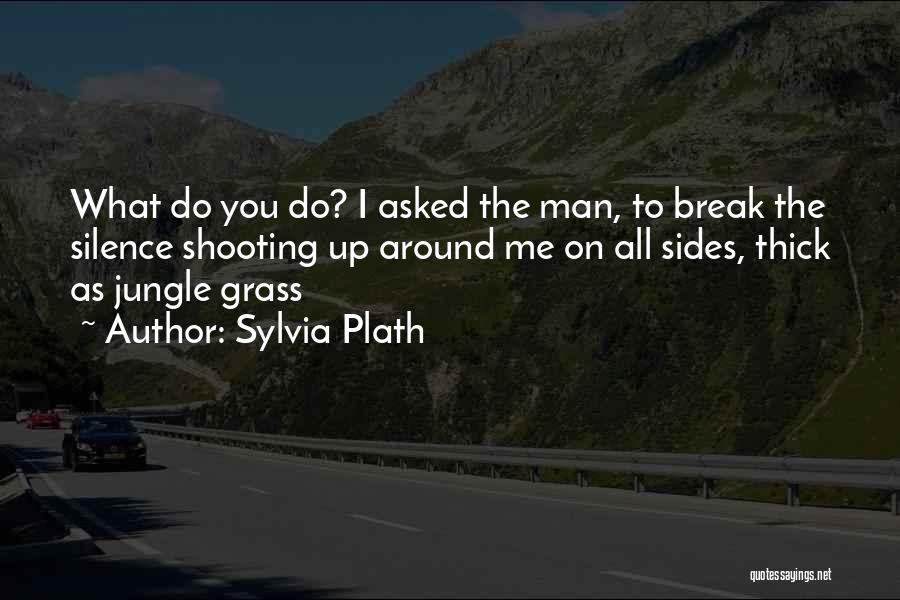 Break Up Man Quotes By Sylvia Plath