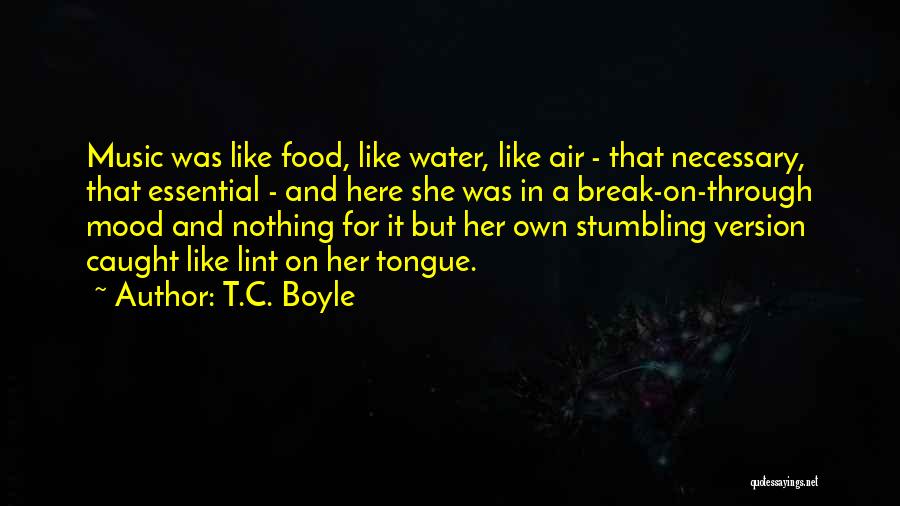 Break Up Version Quotes By T.C. Boyle