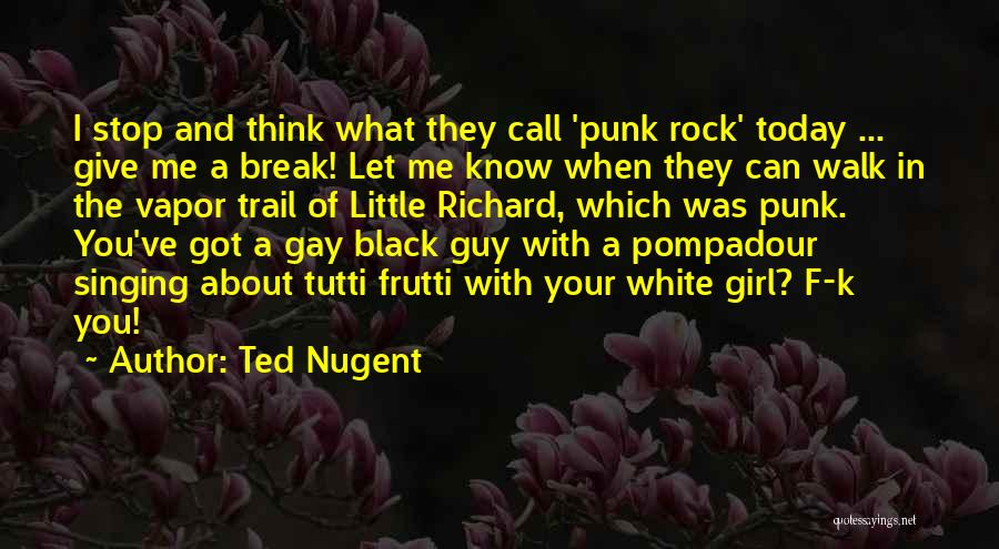 Break Up With A Girl Quotes By Ted Nugent