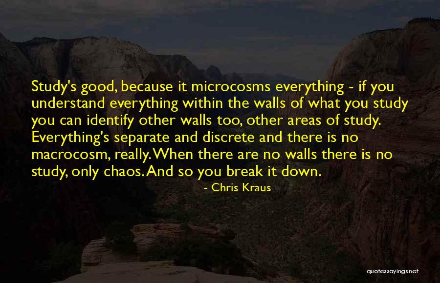 Break Walls Quotes By Chris Kraus