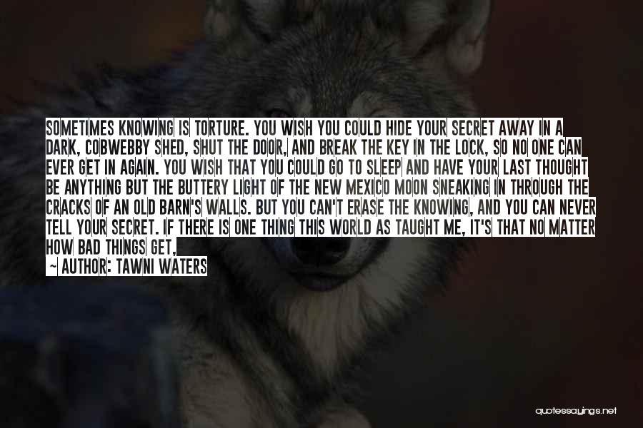 Break Walls Quotes By Tawni Waters