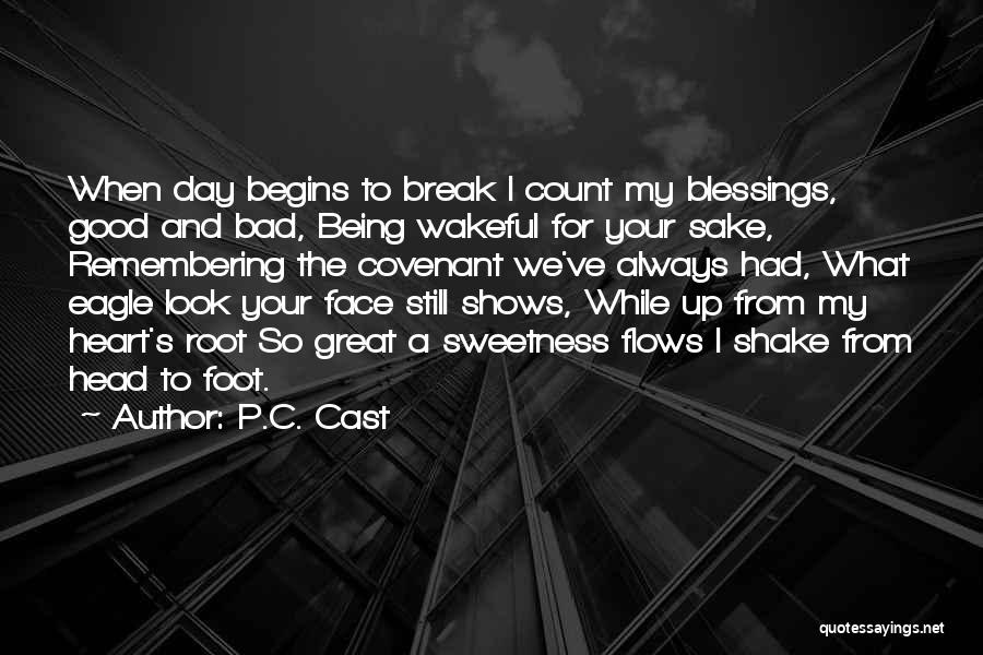 Break Your Face Quotes By P.C. Cast