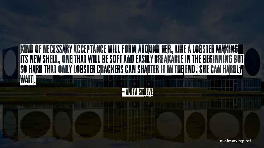 Breakable Quotes By Anita Shreve Breakable Quotes By Anita Shreve