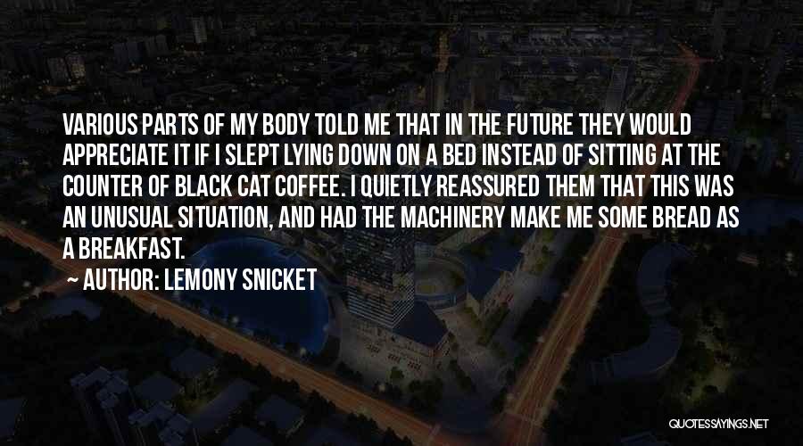 Breakfast In Bed Quotes By Lemony Snicket