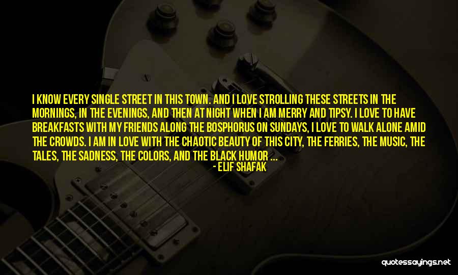 Breakfasts Quotes By Elif Shafak Breakfasts Quotes By Elif Shafak
