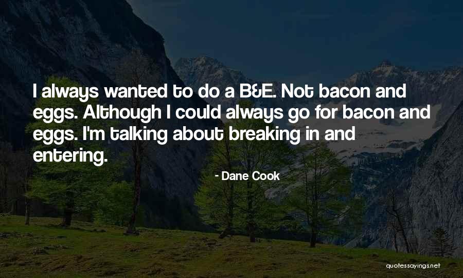 Breaking And Entering Quotes By Dane Cook