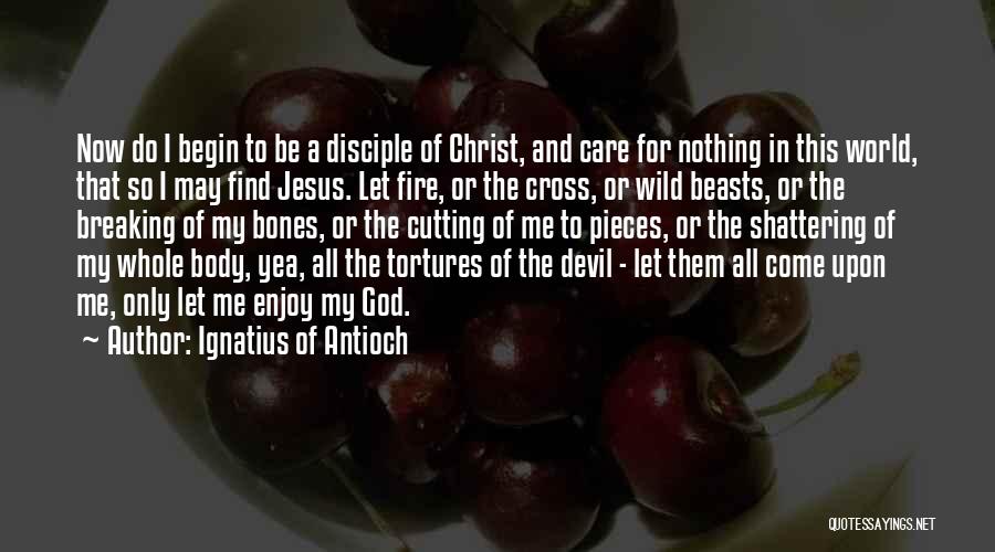 Breaking Bones Quotes By Ignatius Of Antioch