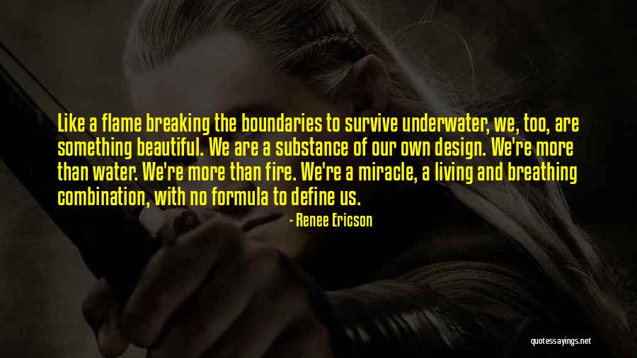 Breaking Boundaries Quotes By Renee Ericson