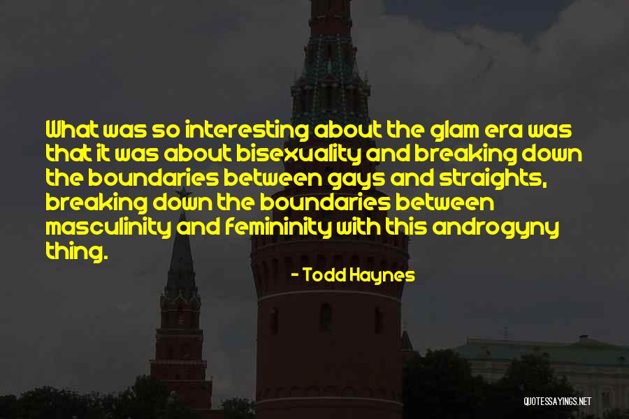 Breaking Boundaries Quotes By Todd Haynes