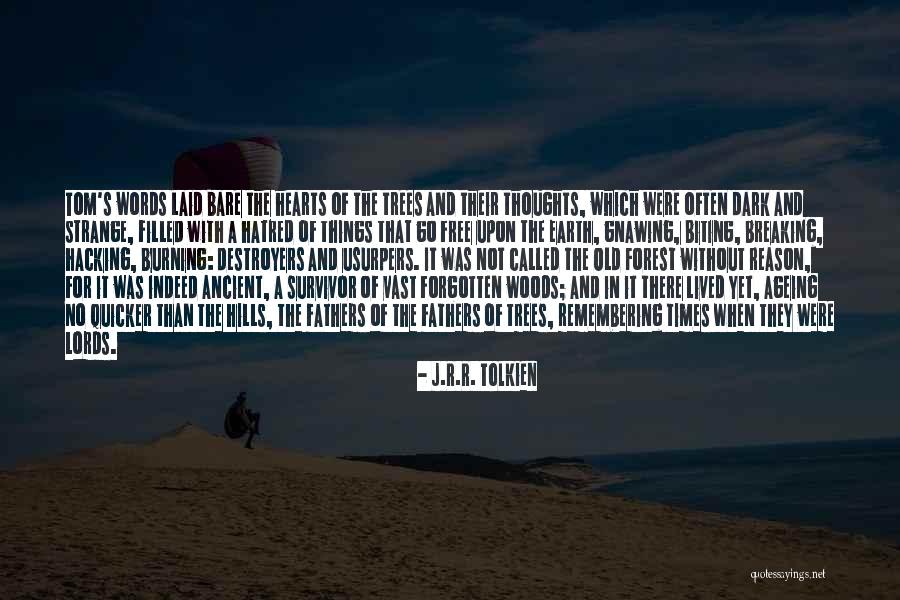 Breaking Free Quotes By J.R.R. Tolkien