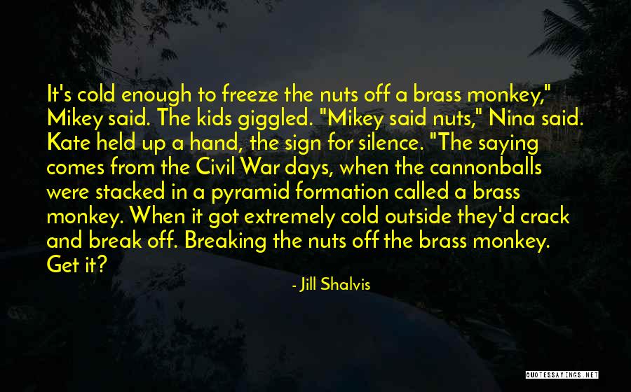 Breaking My Silence Quotes By Jill Shalvis