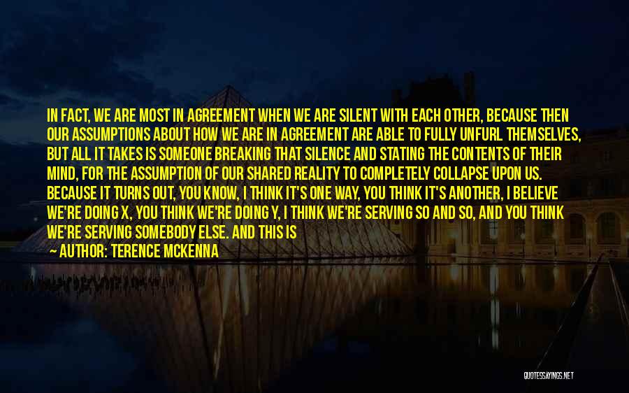 Breaking My Silence Quotes By Terence McKenna