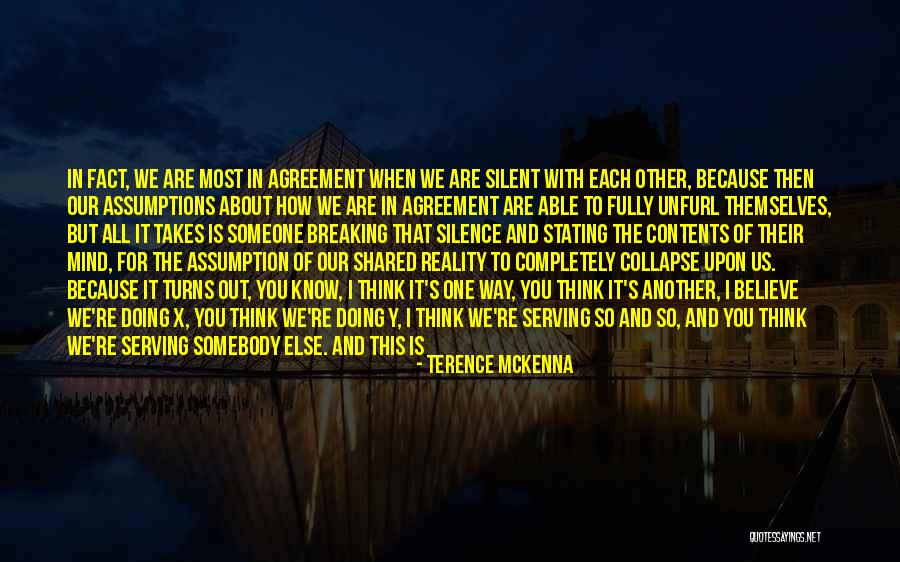 Breaking My Silence Quotes By Terence McKenna