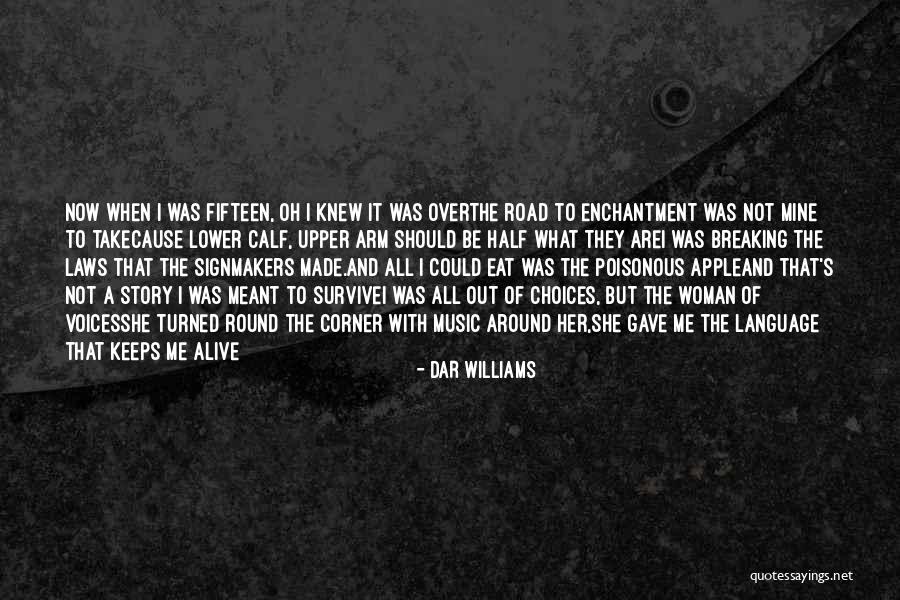 Breaking The Laws Quotes By Dar Williams Breaking The Laws Quotes By Dar Williams