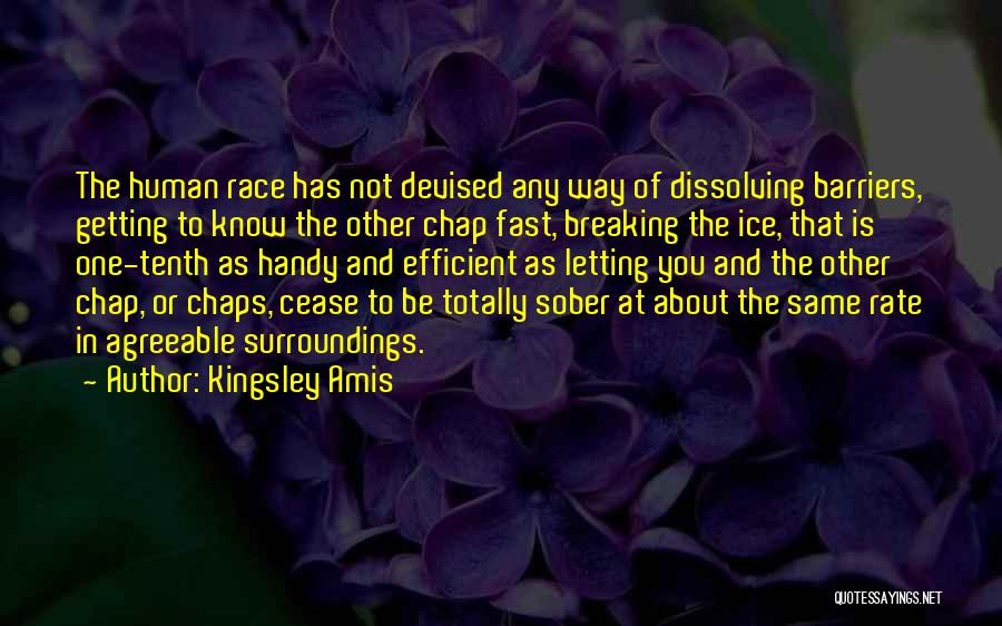 Breaking Up And Letting Go Quotes By Kingsley Amis