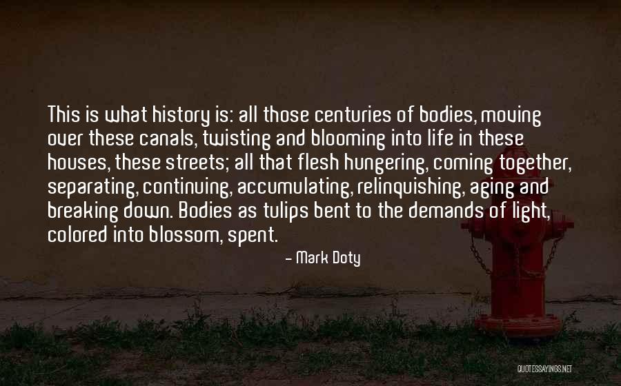 Breaking Up And Moving On Quotes By Mark Doty Breaking Up And Moving On Quotes By Mark Doty