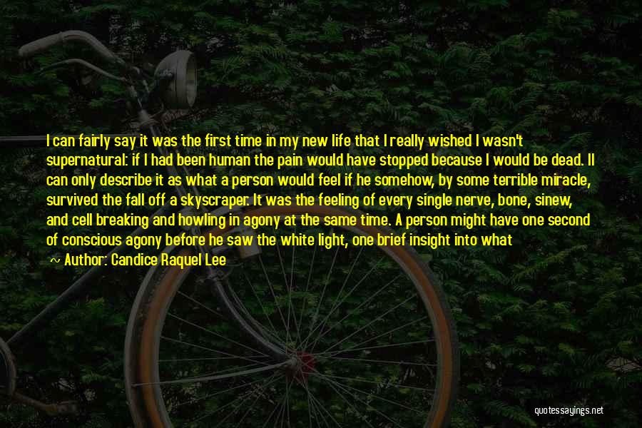 Breaking Up Life Quotes By Candice Raquel Lee