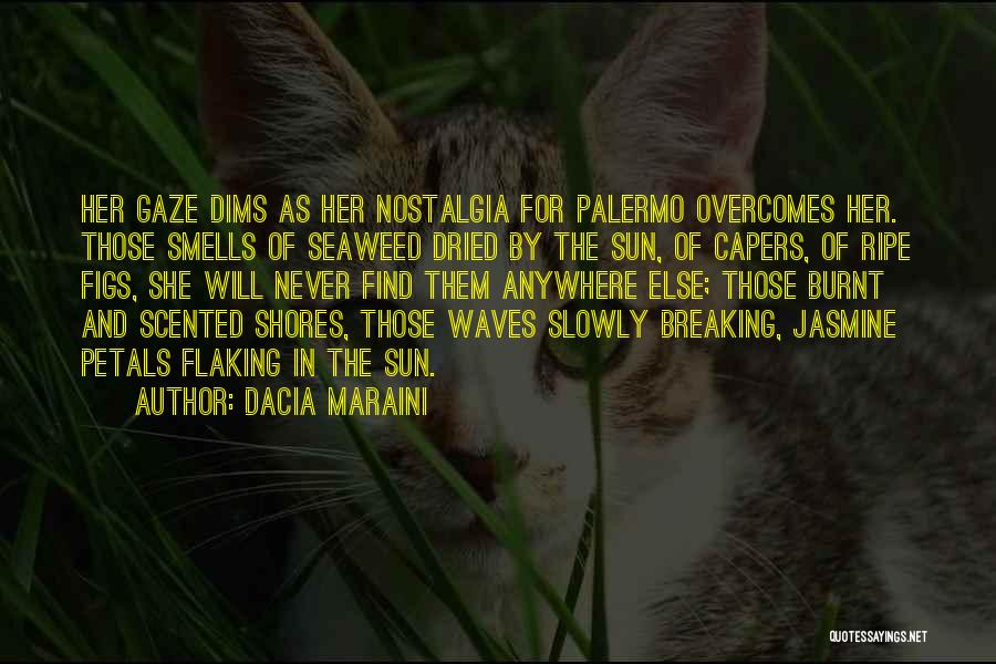 Breaking Waves Quotes By Dacia Maraini