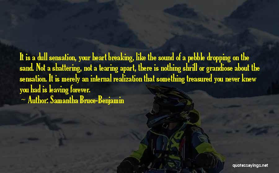 Breaking Your Heart Quotes By Samantha Bruce-Benjamin