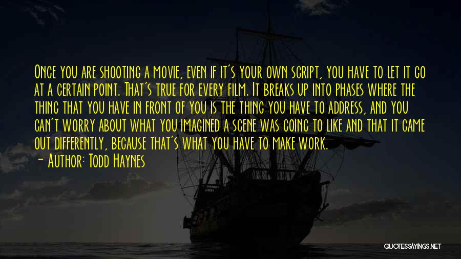 Breaks From Work Quotes By Todd Haynes