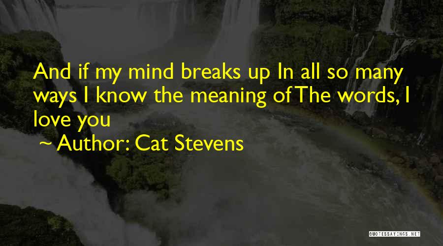 Breaks In Love Quotes By Cat Stevens