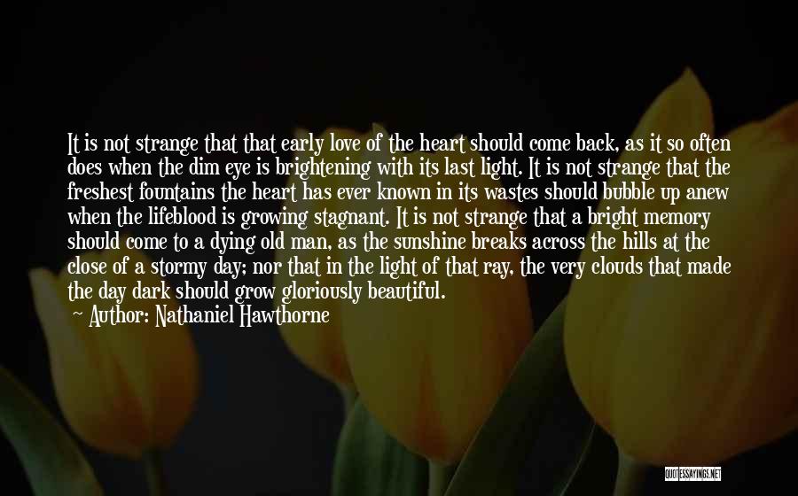 Breaks In Love Quotes By Nathaniel Hawthorne