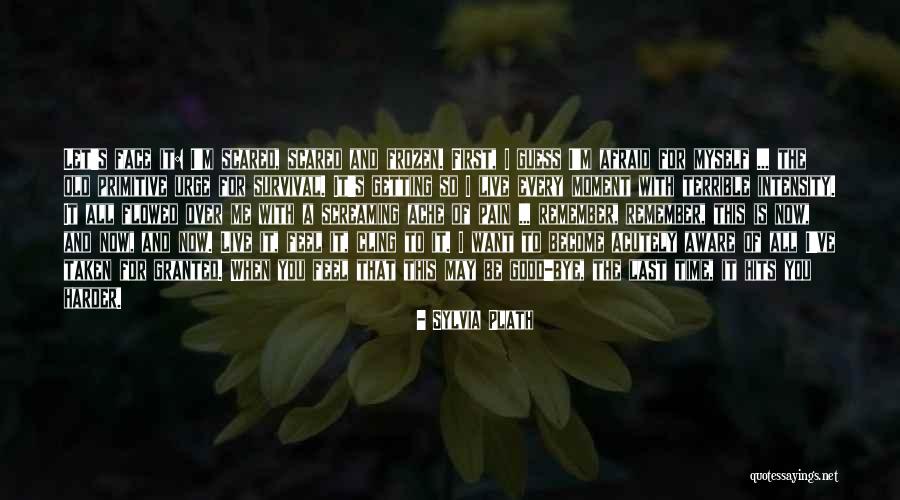 Breakstones Butter Quotes By Sylvia Plath Breakstones Butter Quotes By Sylvia Plath