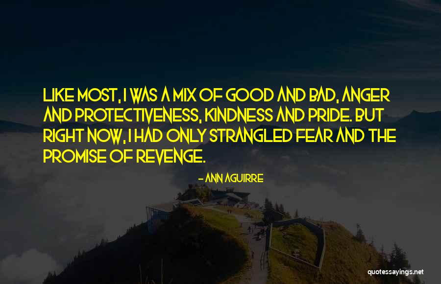Breakstones Quotes By Ann Aguirre Breakstones Quotes By Ann Aguirre