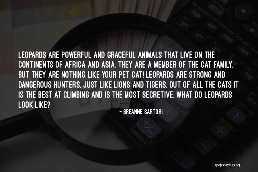 Breanne Quotes By Breanne Sartori Breanne Quotes By Breanne Sartori