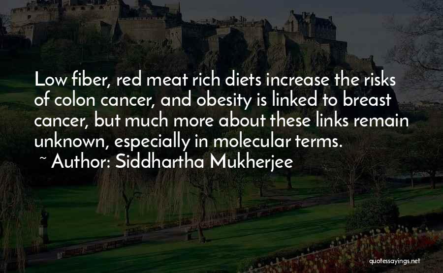 Breast Cancer Quotes By Siddhartha Mukherjee