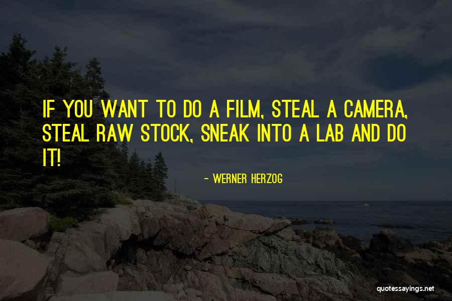 Breastplate Prayer Quotes By Werner Herzog