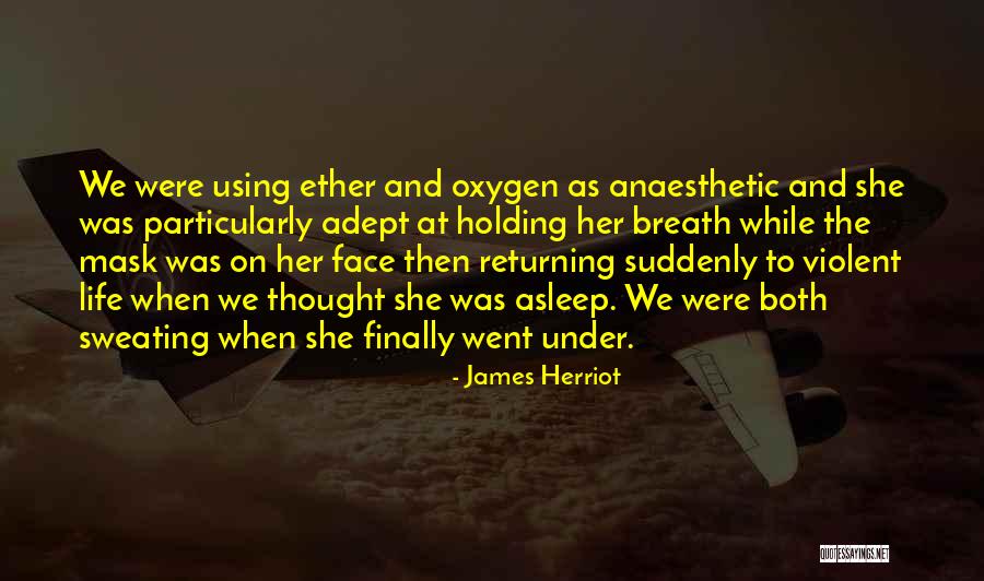 Breath Holding Quotes By James Herriot Breath Holding Quotes By James Herriot