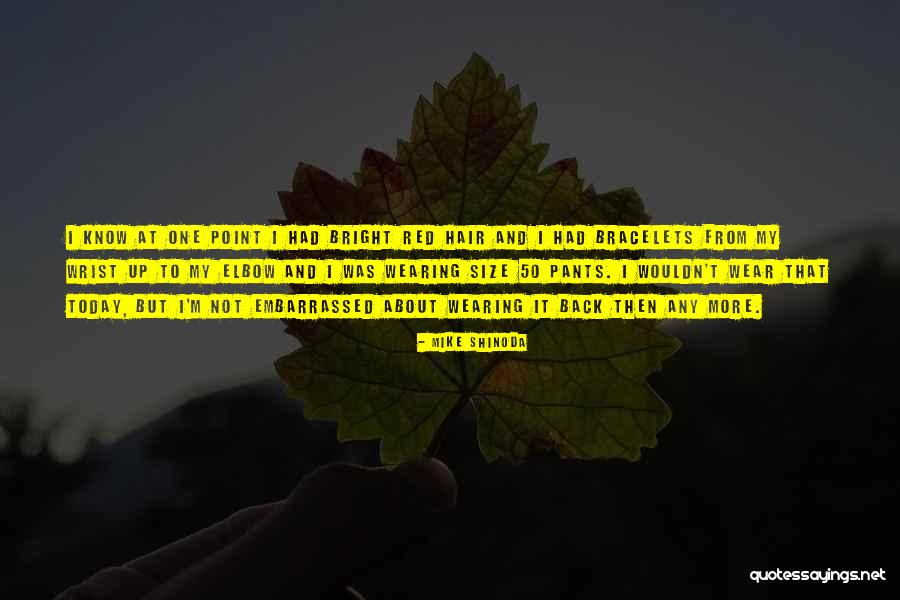 Breathable Mesh Quotes By Mike Shinoda Breathable Mesh Quotes By Mike Shinoda