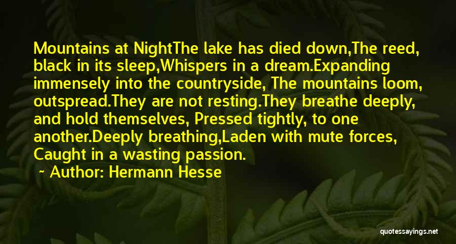 Breathe Deeply Quotes By Hermann Hesse