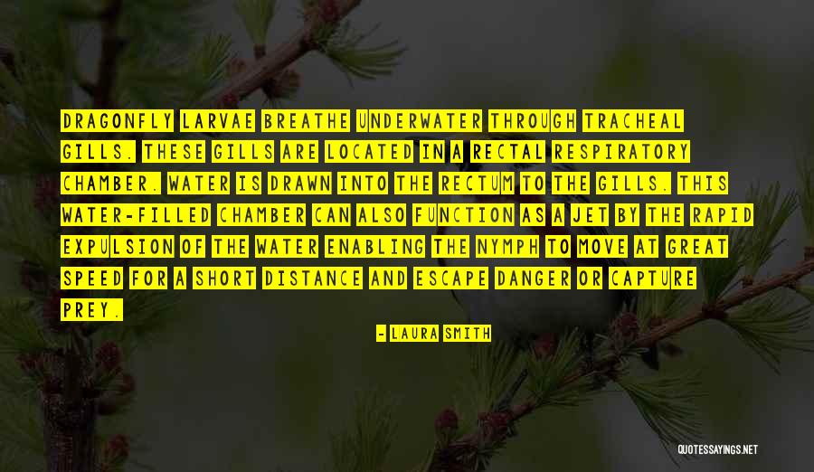 Breathe Short Quotes By Laura Smith Breathe Short Quotes By Laura Smith