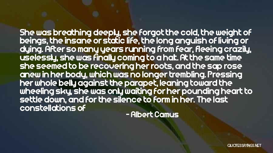 Breathing Deeply Quotes By Albert Camus