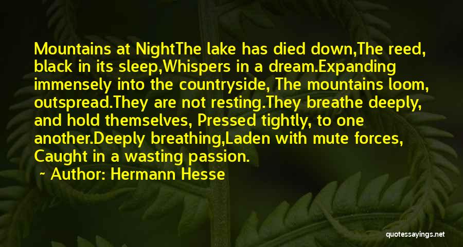 Breathing Deeply Quotes By Hermann Hesse